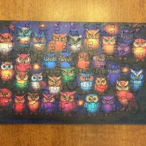 Colorful Owl Puzzle